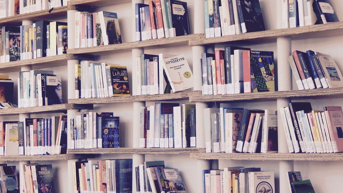 Floor To Ceiling Built In Bookcases - The Ultimate Hack: Embeds