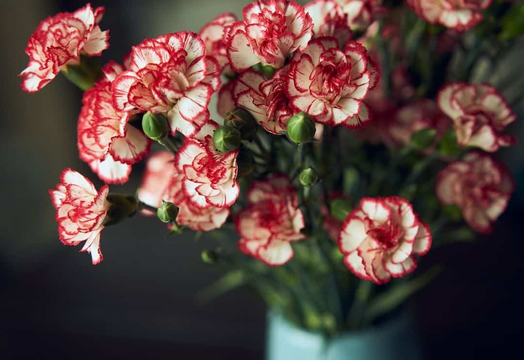 How to Make Your Home Smell Better Naturally
