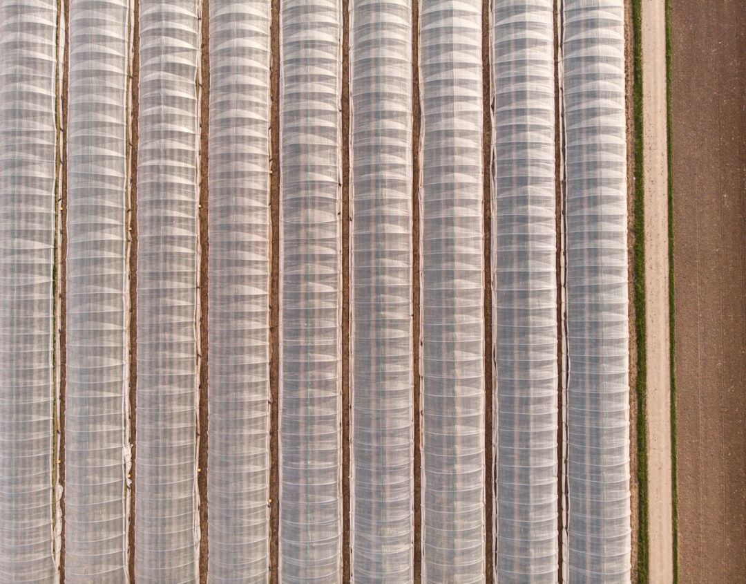 Best HVAC Filters for Allergy Season 2026